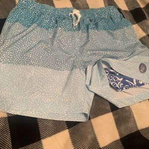 Mens chubbies lined swim shorts